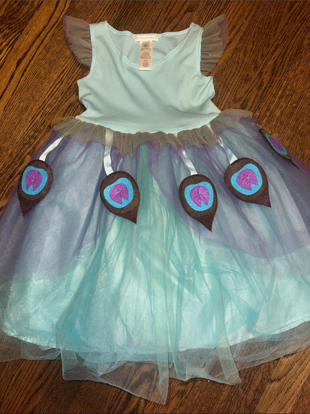 Pottery Barn Kids Peacock Tulle Dress with Feather Appliqués
